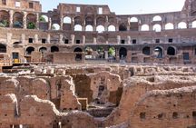 Gladiator tour of the Colosseum for kids and family