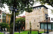 Getxo and Vizcaya Bridge tour by minibus from Bilbao