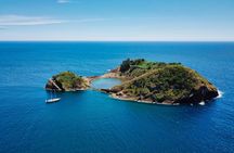 Whale  and dolphin watching cruise with lunch