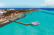 Garrafon Natural Reef Park and dolphin experience ticket