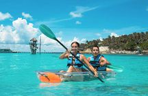 Garrafon Natural Reef Park and dolphin experience ticket
