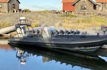 2-hour archipelago tour on a RIB speedboat