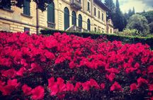 Chianti wine tour, the 5 nuances of Tuscan red
