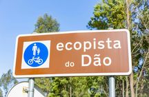 Ecopista do Dão full-day bike tour from Coimbra