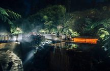 Furnas thermal baths experience by night with dinner