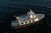 Palma Bay night boat tour