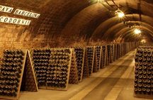 Casa Codorníu guided tour with 2 cava tasting and lunch