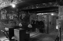 Auschwitz Birkenau and Wieliczka Salt Mine tour with transfer