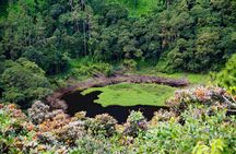 Mauritius dolphin watching, crater and temple tour