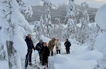 Classic snowshoeing tour in Levi