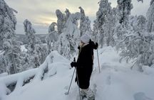 Classic snowshoeing tour in Levi