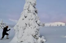 Snowshoeing tour in Pallas fells national park from Levi