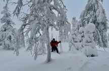 Snowshoeing tour in Pallas fells national park from Levi