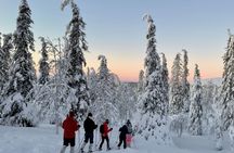 Snowshoeing tour in Pallas fells national park from Levi