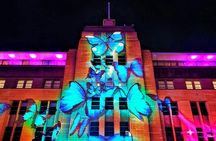 Vivid Sydney Catamaran Cruise with Canapés
