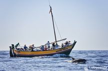 Whale watching tour on a traditional sailboat in Madeira