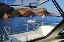 Boat tour to Berlenga island