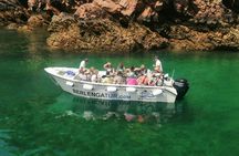 Berlenga island trip and glass-bottom boat cave tour