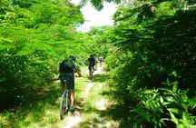 Bras d'Eau and Roches Noires mountain bike tour in Mauritius