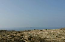 Berlenga island trip, glass-bottom boat cave tour and guided walk