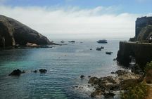 Berlenga island trip, glass-bottom boat cave tour and guided walk