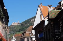 Alsace villages full day tour with wine tasting