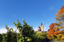 Half-day afternoon tour of Hunawihr, Riquewihr and wine tasting
