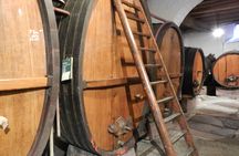 Half-day afternoon tour of Hunawihr, Riquewihr and wine tasting
