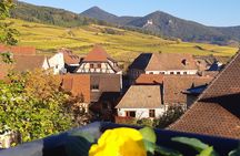 Half-day afternoon tour of Hunawihr, Riquewihr and wine tasting