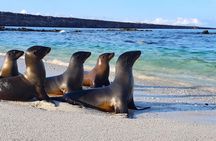 San Cristobal Island full-day tour with lunch