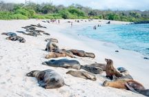 San Cristobal Island full-day tour with lunch