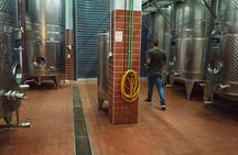 Private heart of Crete tour and wine tasting