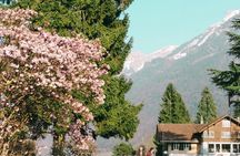 Interlaken art and culture tour with a local