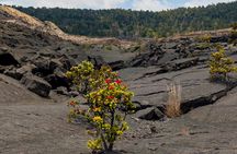 Hawaii Volcanoes National Park Self-Guided Driving Audio Tour