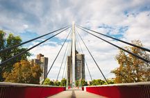 Mannheim art and culture tour with a local