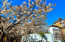 Self-guided Discovery Walk in London’s South East - a riverside history