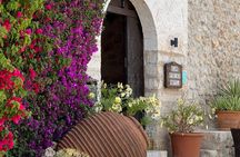 E-scooter tour through the countryside of North Mallorca