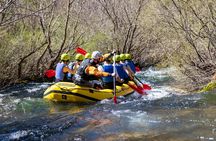 Half-day Cetina River rafting