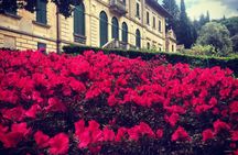 Visit to Tenuta Bossi dei Marchesi Gondi with 3 wine tastings