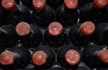 Visit to Tenuta Bossi dei Marchesi Gondi with 3 wine tastings