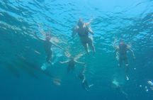 Kayak and snorkel in Tossa de Mar with three course meal