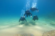 Scuba diving in Tossa de Mar with three-course meal