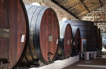 Porto touristic train with wine cellar visit and optional boat cruise