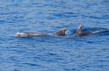3-islands cruise in the Dodecanese on the Captain Hook ship from Kos