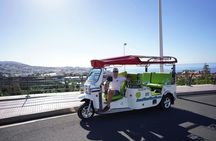 Costa Adeje ecological tuk tuk tour