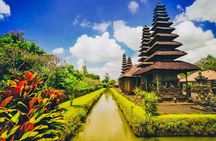 Bali UNESCO Heritage Sites Private Tour with Driver