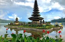 Bali UNESCO Heritage Sites Private Tour with Driver