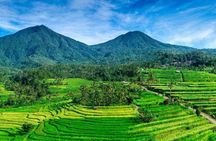 Bali UNESCO Heritage Sites Private Tour with Driver