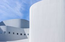 Dusseldorf art and culture tour with a local
