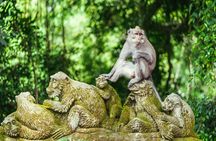 Eastern Bali's Best Waterfalls Private Day Tour